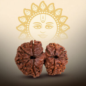 12 Mukhi Gauri Shankar Rudraksha - Image 3