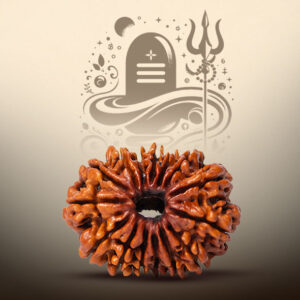 15 Mukhi Rudraksha - Image 3