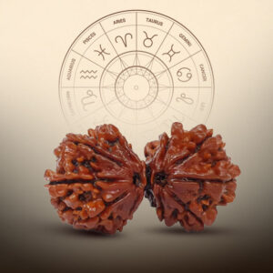 10 Mukhi Gauri Shankar Rudraksha - Image 4