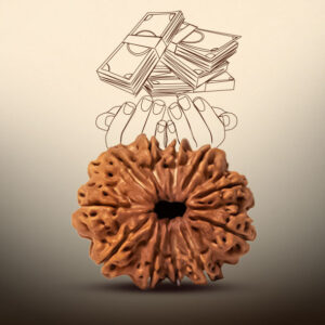 11 Mukhi Rudraksha - Image 4