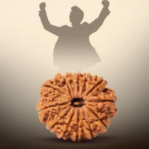 13 Mukhi Rudraksha - Image 4