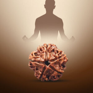 5 Mukhi Rudraksha - Image 4
