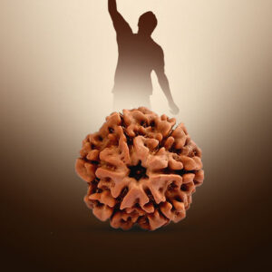 6 Mukhi Rudraksha - Image 4