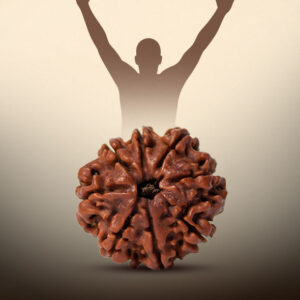 8 Mukhi Rudraksha - Image 4