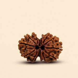 9 Mukhi Gauri Shankar Rudraksha